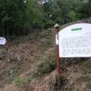 금석목장 이미지