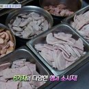 햄바라기 이미지