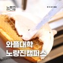 대학 중에 대학은 와플대학 노량진캠퍼스