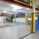 용인대 석사 리라태권도 | 다양한 프로그램 전문적인 시스템 용인대석사화랑태권도