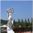 장미화원 이미지