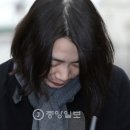 노례 이미지