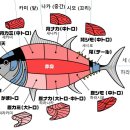 스시하나에 이미지