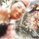 마라하오 이미지