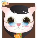 캔디캣 이미지