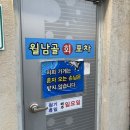 월남골포차 | [안동 태화동 횟집] 월남골회포차 방어 김밥 맛집 모듬 해산물
