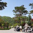 CC 골프존 이미지