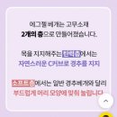 [목이 편해야 하루가 편하다!] 바디씨 뒷목전용 에그젤 베개 한달 사용 솔직 후기