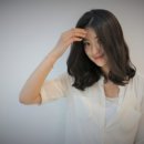 벨헤어 이미지