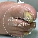 파라솔요양병원 이미지