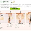 하늘토엠디한의원 이미지