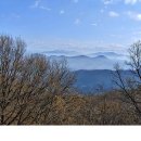 일죽한우 이미지