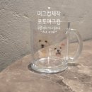 캔포유 | 포토머그컵 주문제작머그컵포유에서 만든 강아지 머그컵 제작 후기