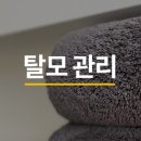 이백퍼센트(주) 이미지