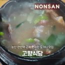 고향식당 | 논산 연산역 근처 현지인 도가니 맛집 고향식당 내돈내산 후기