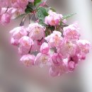 사진과포토샵 이미지