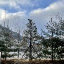 물안골 송어회 이미지