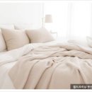월드크리닝부산구서롯데 이미지