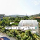 월산4리 이미지