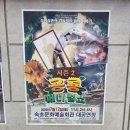 주니삼촌 공룡애니멀쇼 시즌2 | 어린이 뮤지컬 마술쇼 공룡 애니멀쇼 시즌2 관람후기