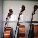 첼로(초등학교 1~6학년) 이미지