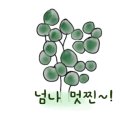 블루 아리아 이미지