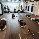 에이블 복싱GYM 네이버블로그