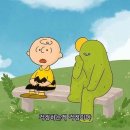 아벨리아 순천향대 서울병원 편의점 | [담낭절제술 후기1] 천안 담낭 로봇수술 후기-수술 결정부터 입원까지(feat.담석증 증상)