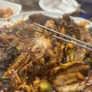 최고네코다리 이미지