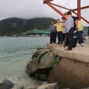 완도18호 이미지