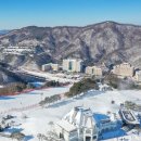 비발디푸드트럭 | 아이와 겨울방학 갈만한 곳 – 비발디파크 눈썰매장 <스노위랜드> 할인 정보, 이용 후기 및 꿀팁