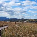 순천만습지 용산입구 화장실 이미지