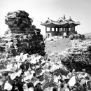 수원-1955 이미지