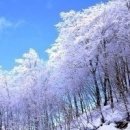 이종수의 즐거운 노래세상 이미지