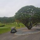 삼성골프클럽 | 용인 에버랜드, 글렌로스골프클럽 이용안내, 이용팁