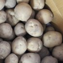 샌드위치&샐러드[월요반] 이미지