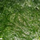 독천낭주골 이미지