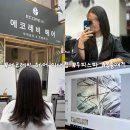 에코레비 헤어 이대 미용실 헤드스파 전문 곱슬머리 볼륨매직 후기