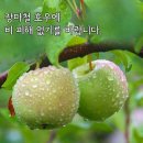 불로초등학교 이미지