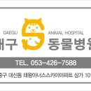 S동물병원 이미지