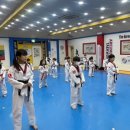 아름드리 태권도 이미지