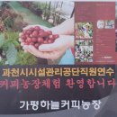 좋은아침연수원