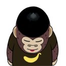 뉴캐슬고릴라 이미지