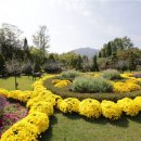 성인용품소매점 이미지