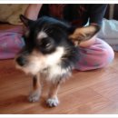 모란사거리 이미지