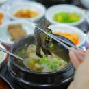 송다원 네이버블로그