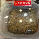 유명건어물 | 속초중앙시장젓갈 맛집 독도젓갈건어물 방문 후기