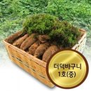 호상농장 이미지