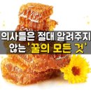 의사들은 절대 안알려주는 꿀의 모든 것 이미지