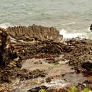 양남주상절리 이미지